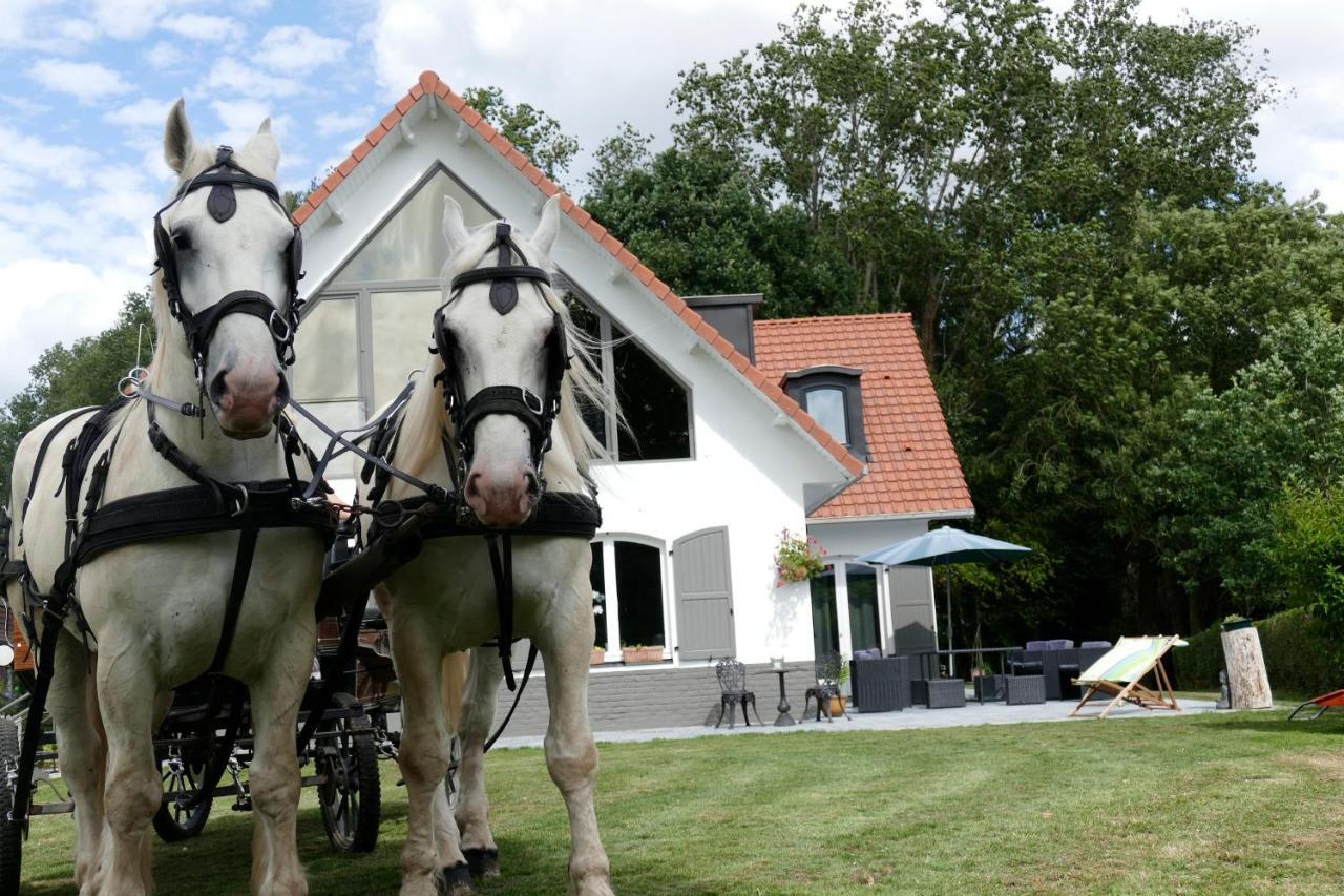 La Garonde Bed and Breakfast Boeschepe Exteriör bild